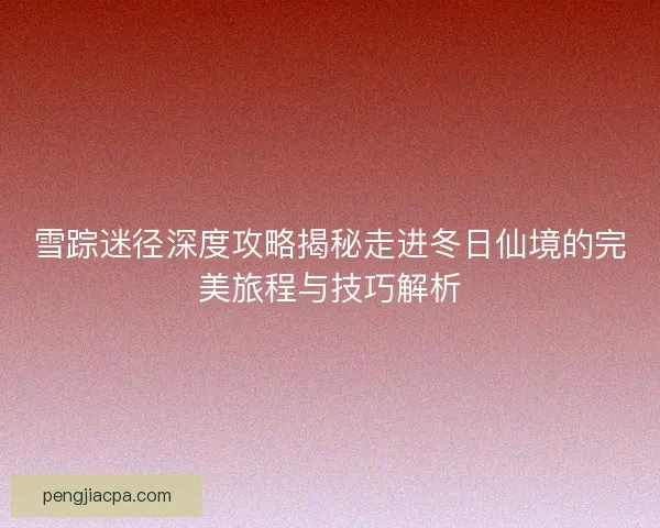 雪踪迷径深度攻略揭秘走进冬日仙境的完美旅程与技巧解析