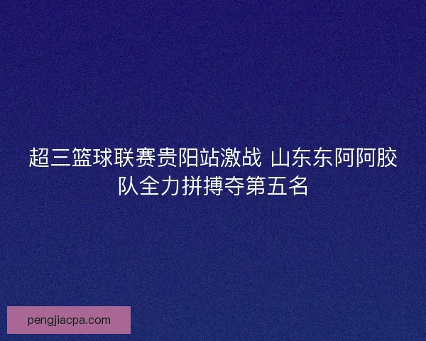 超三篮球联赛贵阳站激战 山东东阿阿胶队全力拼搏夺第五名
